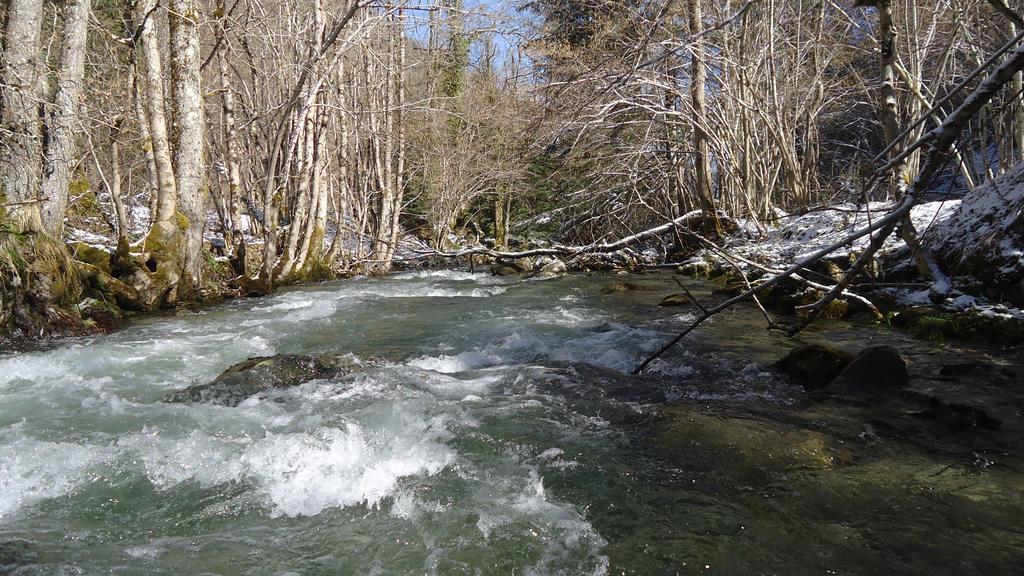 Gites Le Paradoxe Des Pyrenees Montferrier Pokoj fotografie